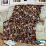 German Spaniel Full Face Blanket