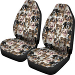 Australian Shepherd Full Face Car Seat Covers