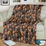 Dachshund Full Face Blanket