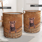 Patterdale Terrier - Rattan - LB