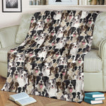 Border Collie Full Face Blanket