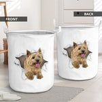 Cairn Terrier - Tornpaper - LB