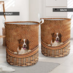 Border Collie 02 - Rattan - LB