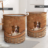 Border Collie 02 - Rattan - LB