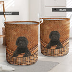 Labradoodle - Black - Rattan - LB