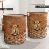 Plott Hound - Rattan - LB