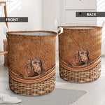 American Water Spaniel - Rattan - LB