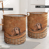 American Water Spaniel - Rattan - LB