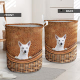 Canaan Dog - Rattan - LB