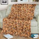 Portuguese Pointer Full Face Blanket