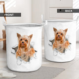 Yorkshire Terrier - Tornpaper - LB