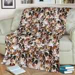 American Bulldog 1 Full Face Blanket