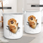 Pekingese - Tornpaper - LB