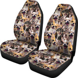 Chihuahua Full Face Car Seat Covers