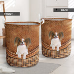 Papillon - Rattan - LB