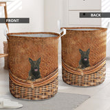 Belgian Malinois - Rattan - LB