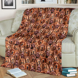 Irish Setter Full Face Blanket