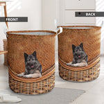 Norwegian Elkhound1 - Rattan - LB