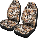 Havanese Full Face Car Seat Covers