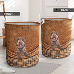 Lagotto Romagnolo - Rattan - LB