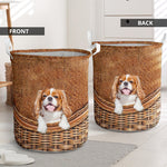 Cavalier King Charles Spaniel2 - Rattan - LB