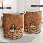 Bracco Italiano 2 - Rattan - LB