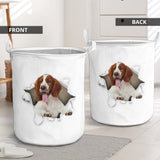 Welsh Springer Spaniel - Tornpaper - LB