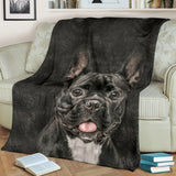 French Bulldog - Blanket - 1177