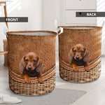 Dachshund - Rattan - LB