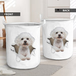 Bichon Frise - Tornpaper - LB