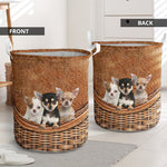 Chihuahua - Rattan - LB