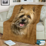 Cairn Terrier 2 Face Hair Blanket