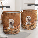 Goldendoodle2 - Rattan - LB