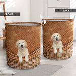 Labrador - Rattan - LB