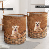 Norfolk Terrier - Rattan - LB