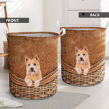 Norwich Terrier - Rattan - LB