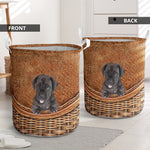 Great Dane - Rattan - LB