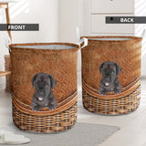 Great Dane - Rattan - LB