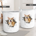 Pembroke Welsh Corgi1 - Tornpaper - LB