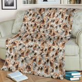 Soft-coated Wheaten Terrier Full Face Blanket