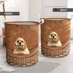 American Cocker Spaniel - Rattan - LB