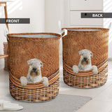 Soft Coated Wheaten Terrier - Rattan - LB