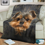 Yorkshire Terrier Face Hair Blanket