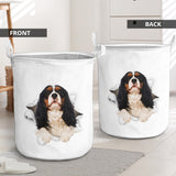 Cavalier King Charles - Tornpaper - LB