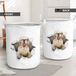 Clumber Spaniel - Tornpaper - LB