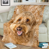 Goldendoodle - Blanket - 1306