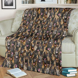 Malinois Dog Full Face Blanket