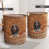 Bluetick Coonhound - Rattan - LB