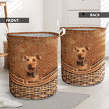 Welsh Terrier - Rattan - LB