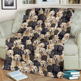 Labrador - Blanket - 1396